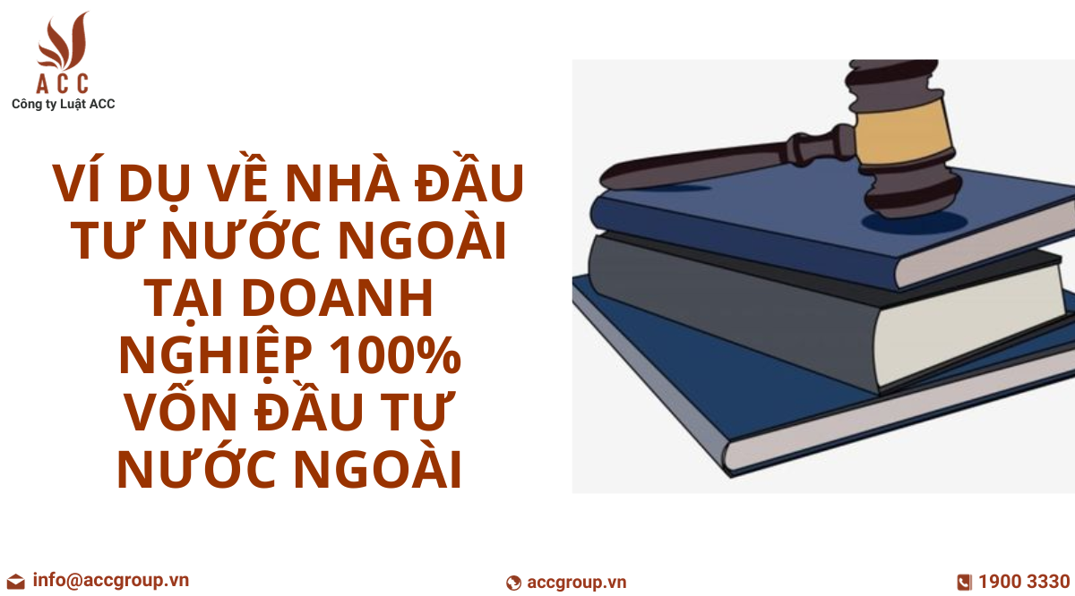 vi-du-ve-nha-dau-tu-nuoc-ngoai-tai-doanh-nghiep-100-von-dau-tu-nuoc-ngoai