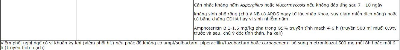 viem-phoi-3