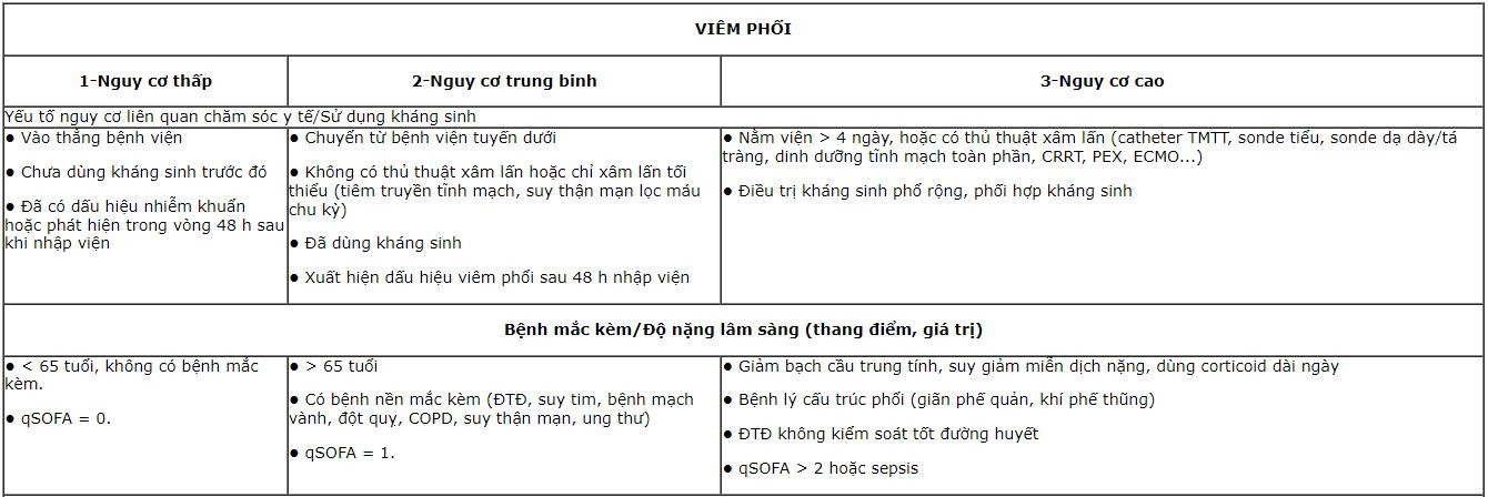 viem-phoi