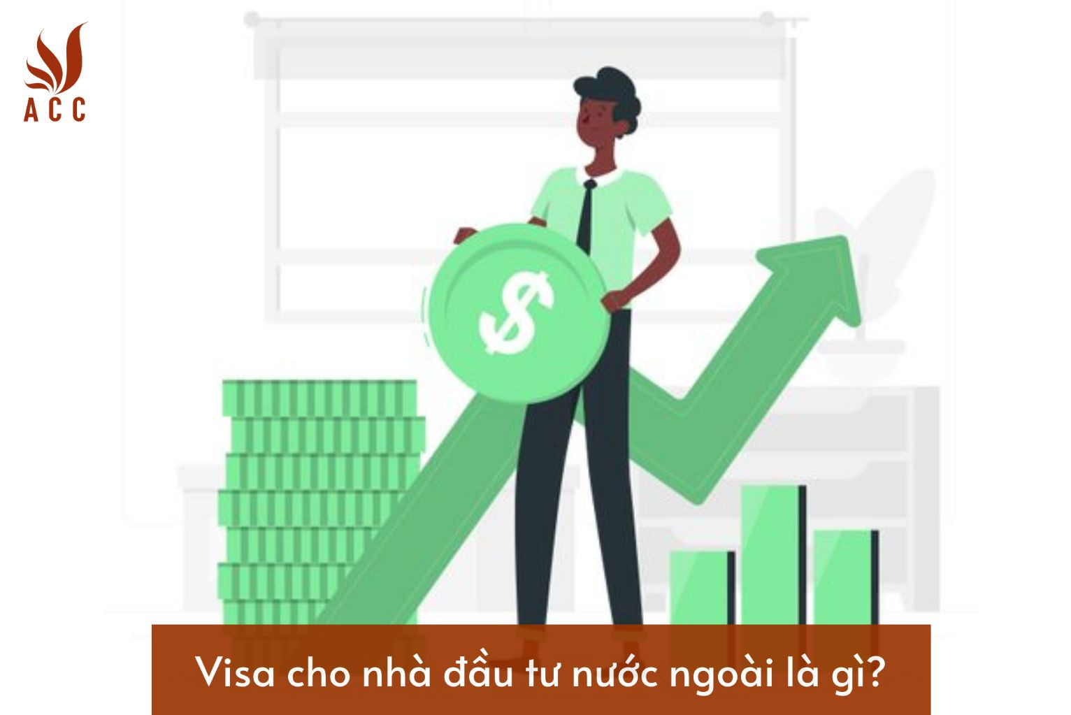 visa-cho-nha-dau-tu-nuoc-ngoai-la-gi