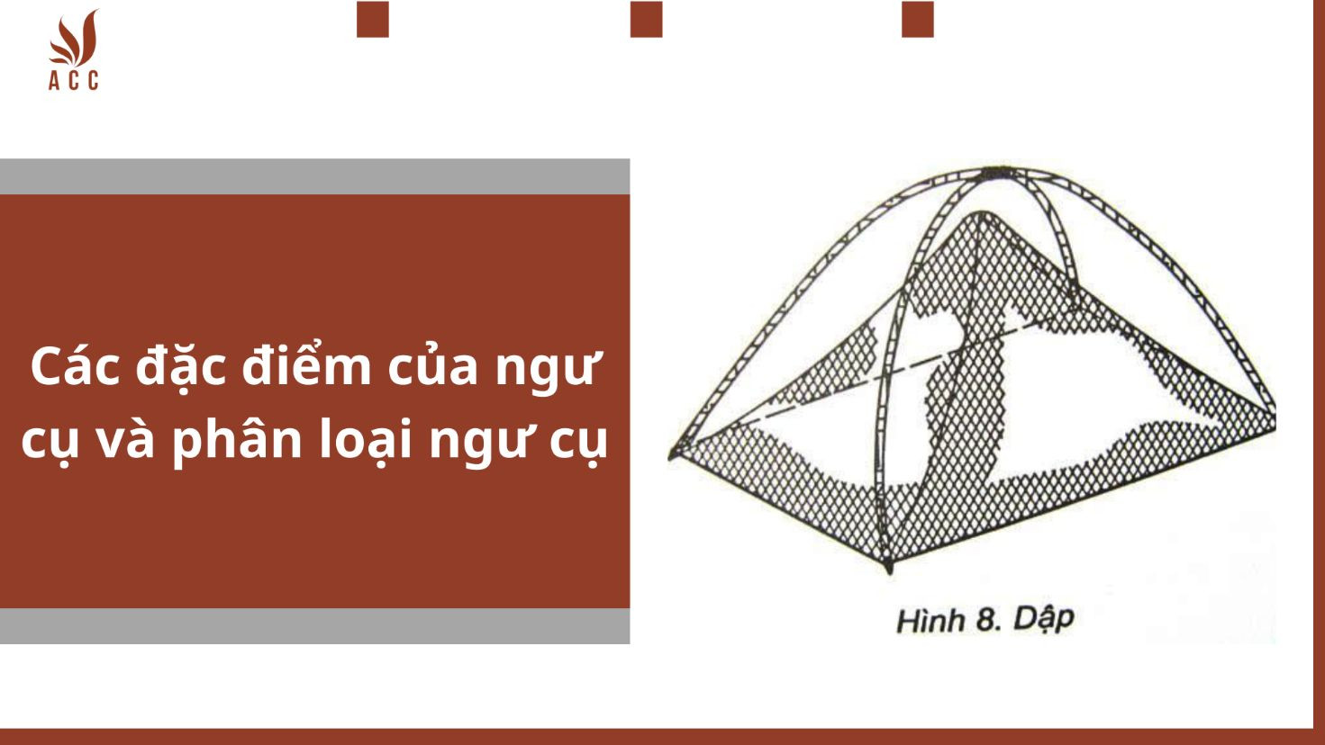 Các đặc điểm của ngư cụ và phân loại ngư cụ