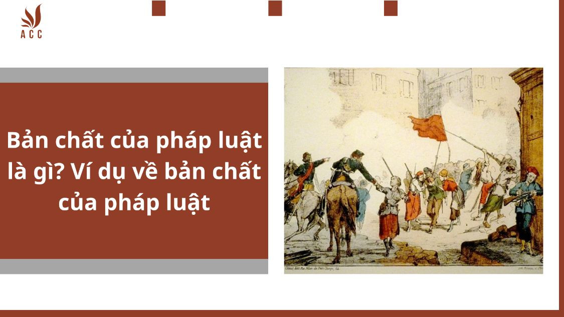 Bản chất của pháp luật là gì? Ví dụ về bản chất của pháp luật