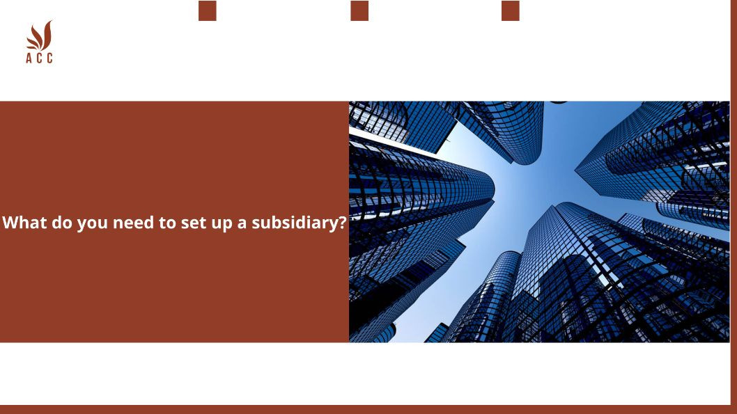 what-do-you-need-to-set-up-a-subsidiary