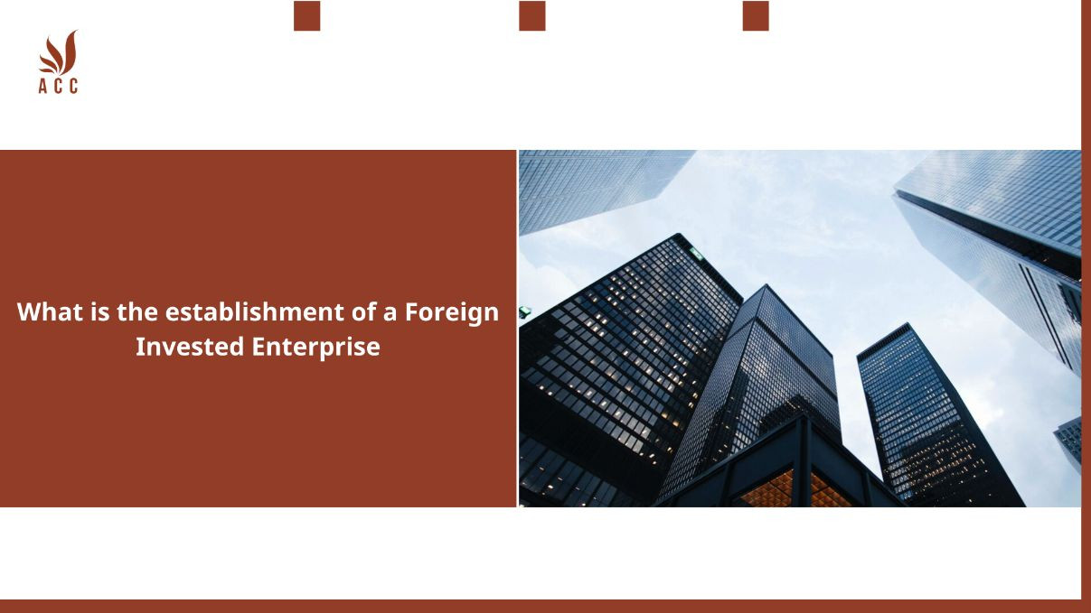 what-is-the-establishment-of-a-foreign-invested-enterprise