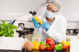 Thực hiện xét nghiệm thực phẩm ở đâu Hà Nội? [Năm 2023]