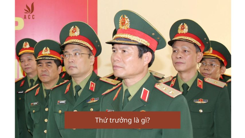 Thứ trưởng là gì?