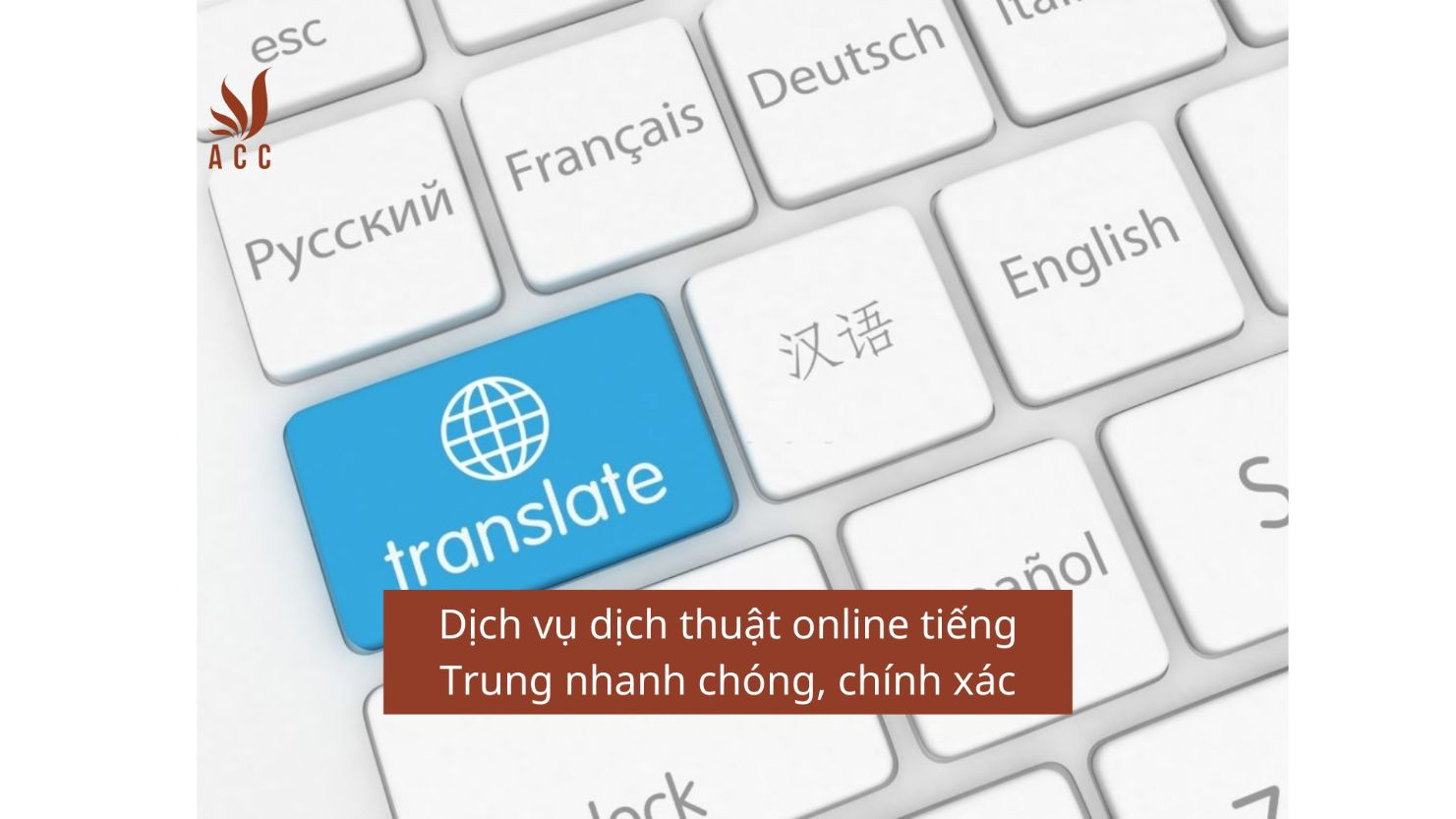 Dịch vụ dịch thuật online tiếng Trung nhanh chóng, chính xác