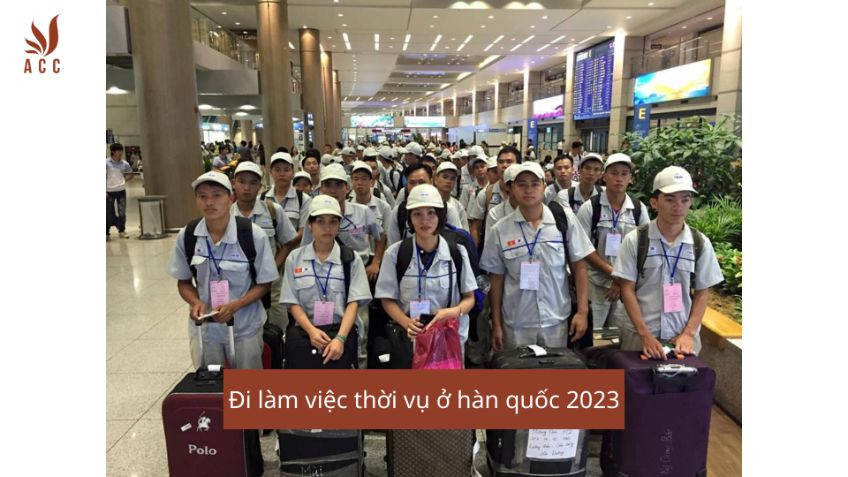 Đi làm việc thời vụ ở hàn quốc 2023