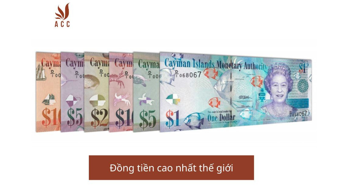 Đồng tiền cao nhất thế giới