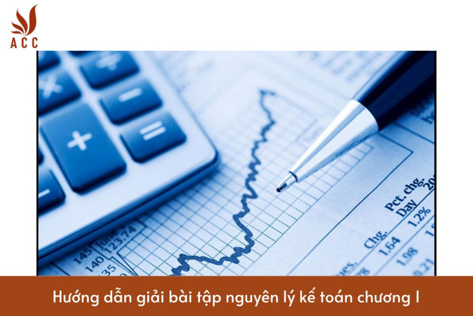 Hướng dẫn giải bài tập nguyên lý kế toán chương 1