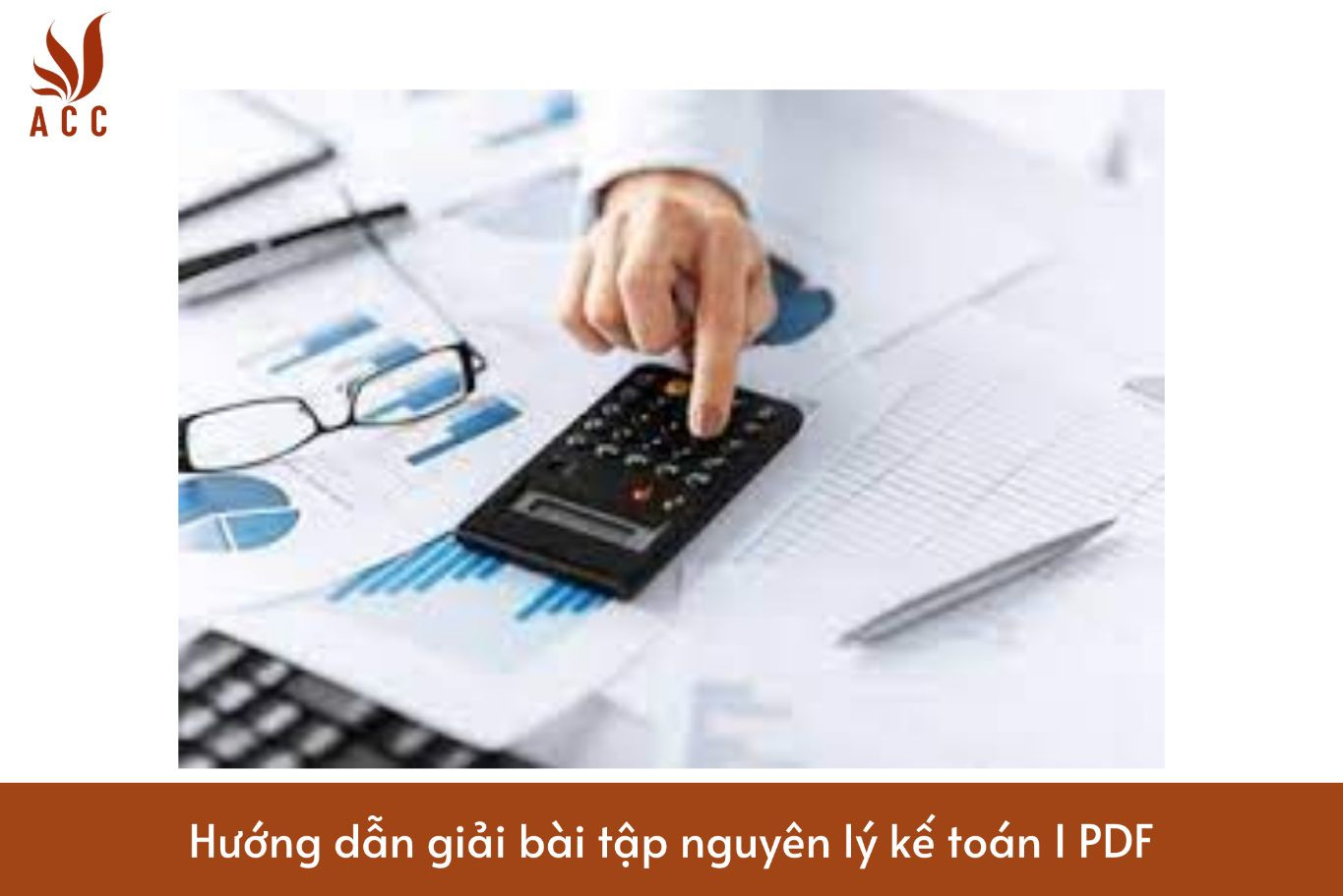 Hướng dẫn giải bài tập nguyên lý kế toán I PDF