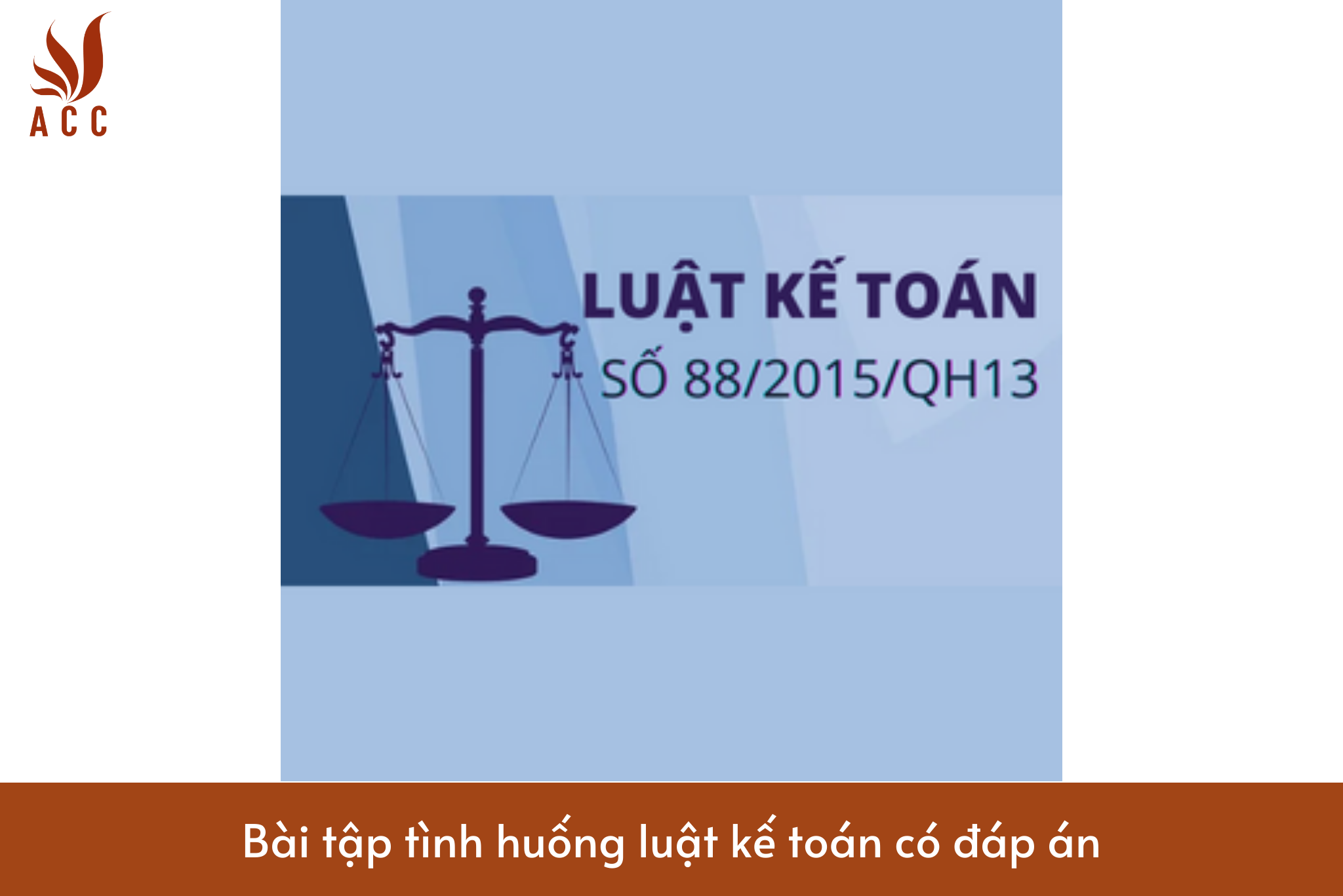 Bài tập tình huống luật kế toán có đáp án