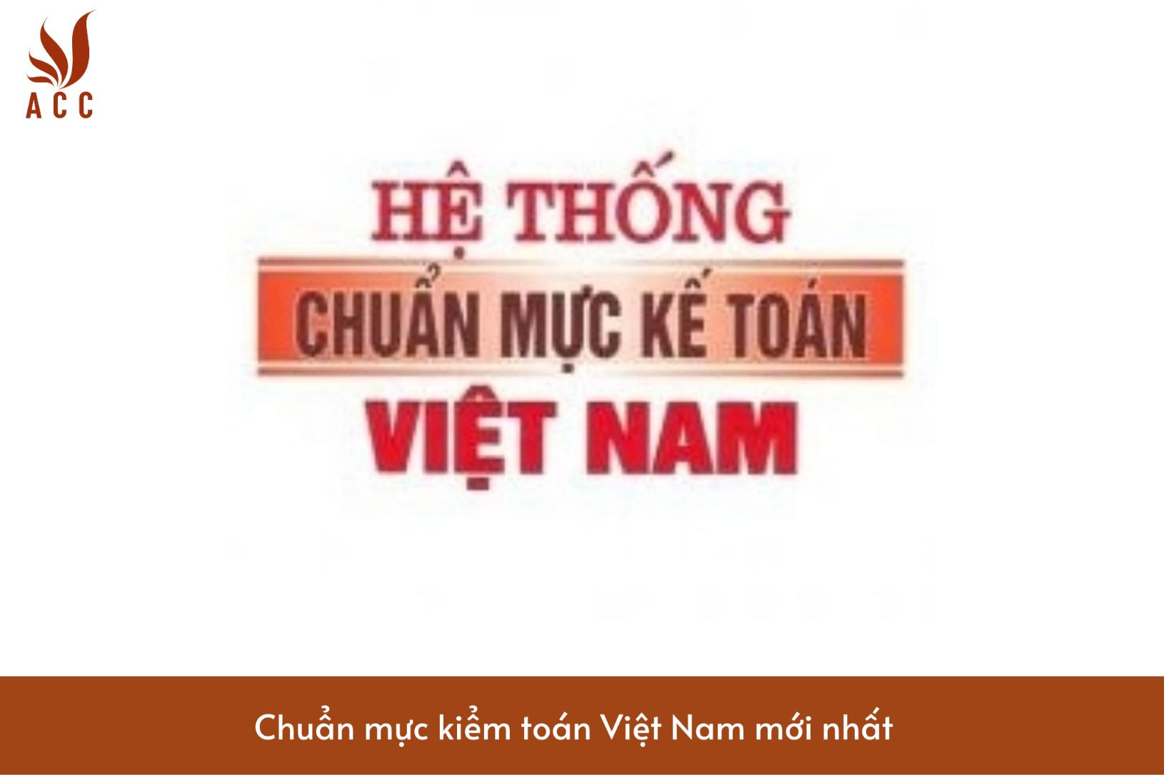 Chuẩn mực kiểm toán Việt Nam mới nhất