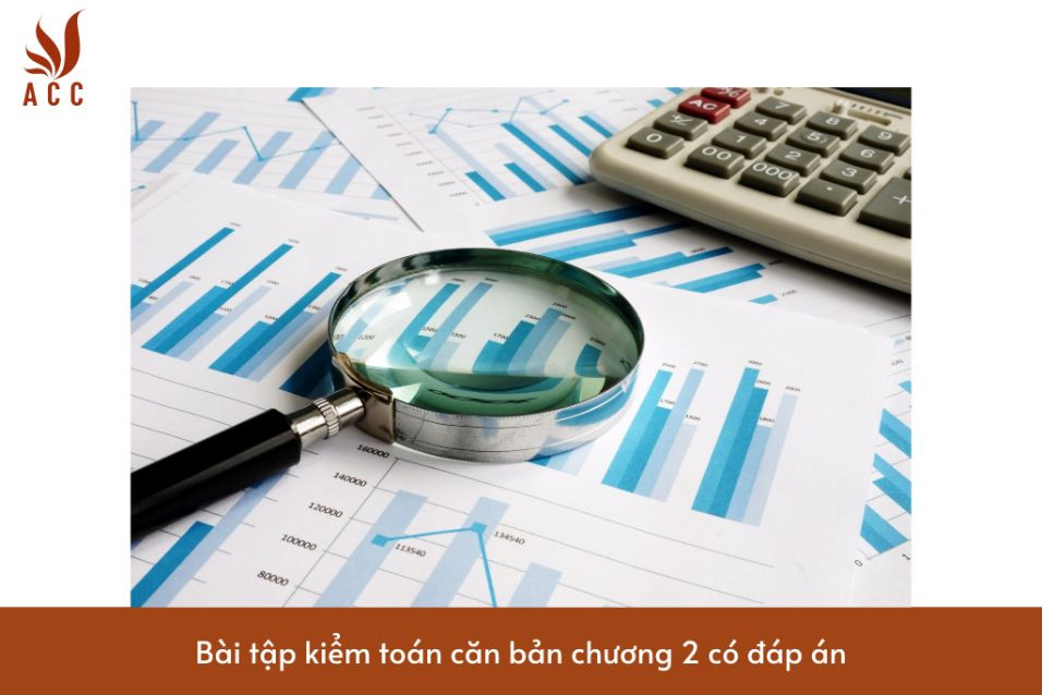 Bài tập kiểm toán căn bản chương 2 có đáp án