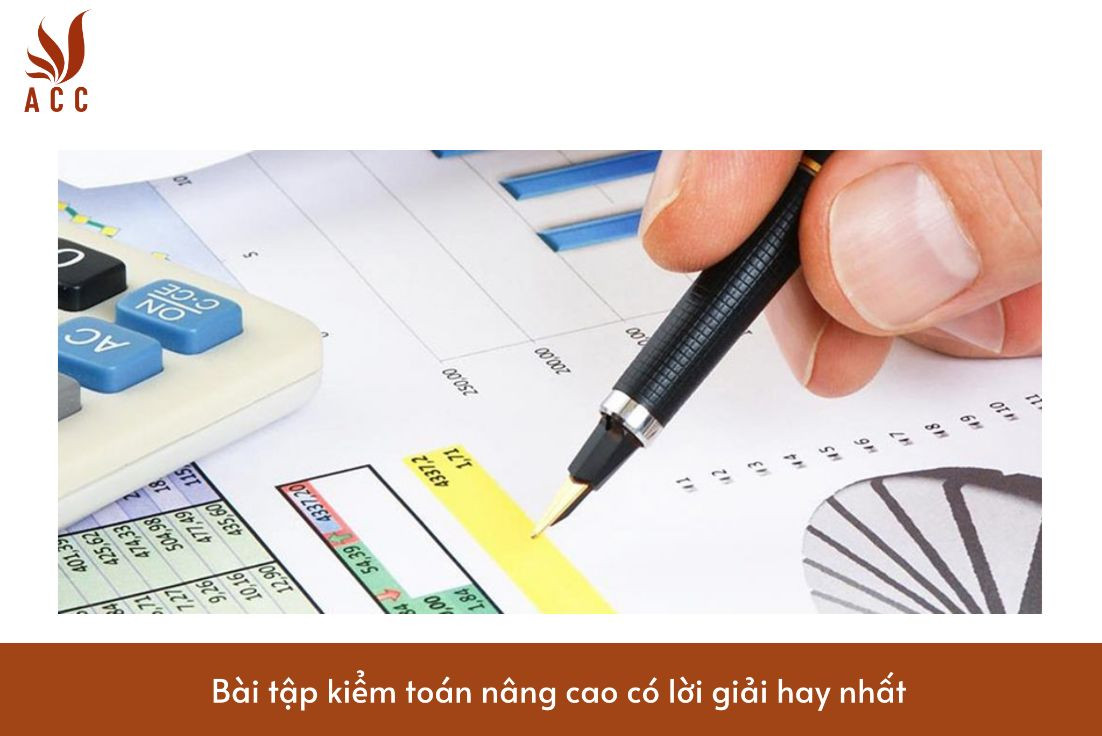 Bài tập kiểm toán nâng cao có lời giải hay nhất