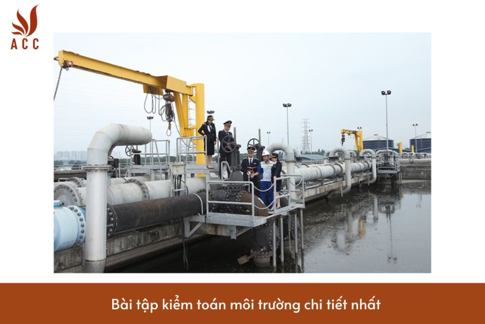 Bài tập kiểm toán môi trường chi tiết nhất