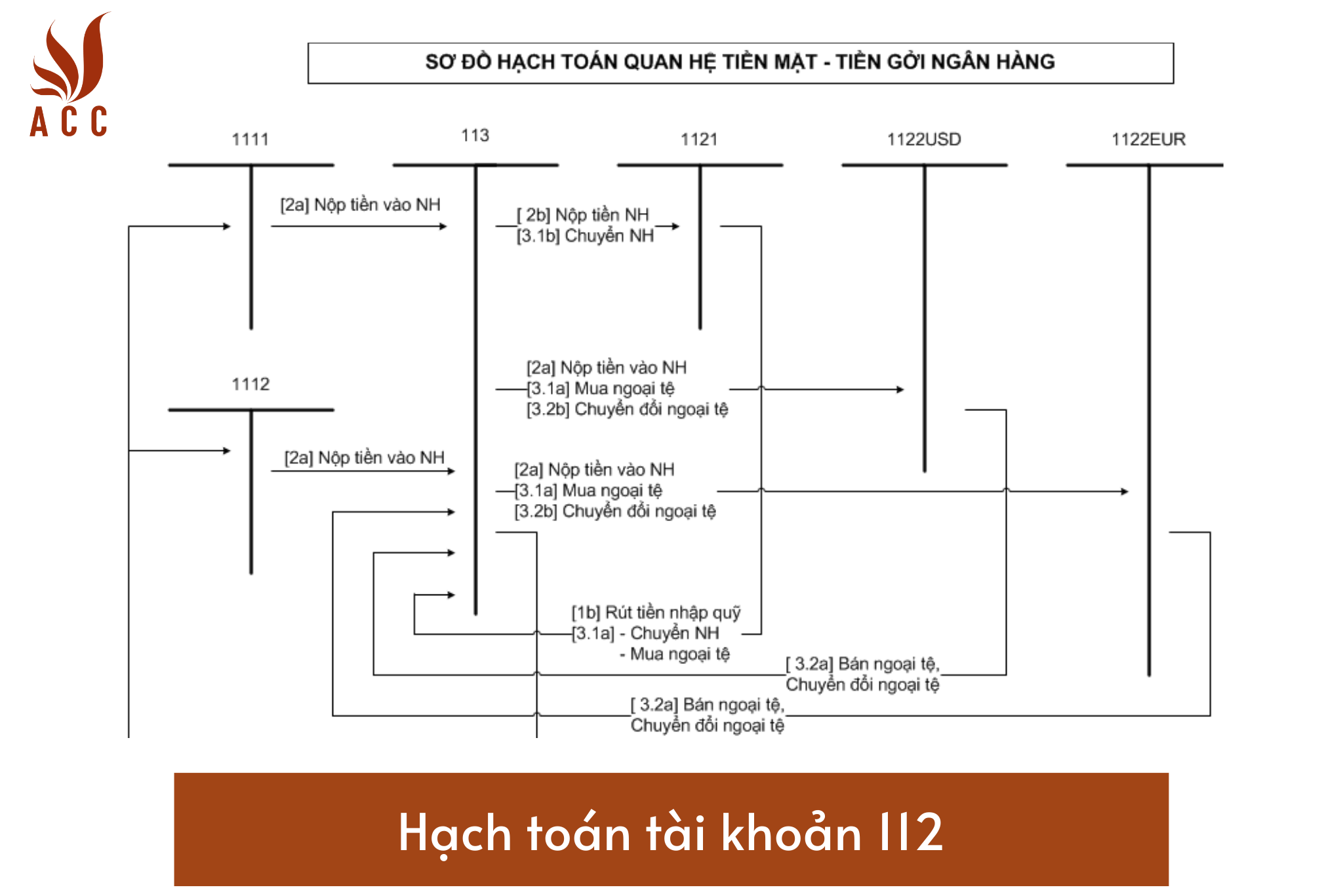 Hệ thống tài khoản 113