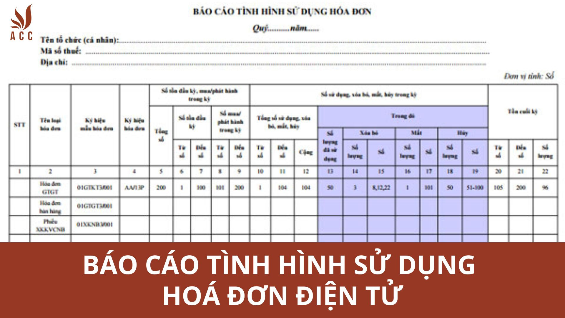 Báo cáo tình hình sử dụng HĐĐT