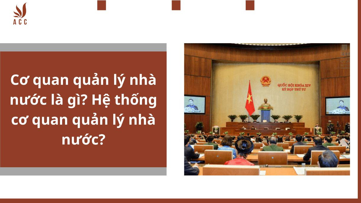 Cơ quan quản lý nhà nước là gì? Hệ thống cơ quan quản lý nhà nước?