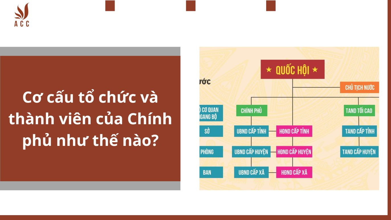 Cơ cấu tổ chức và thành viên của Chính phủ như thế nào?