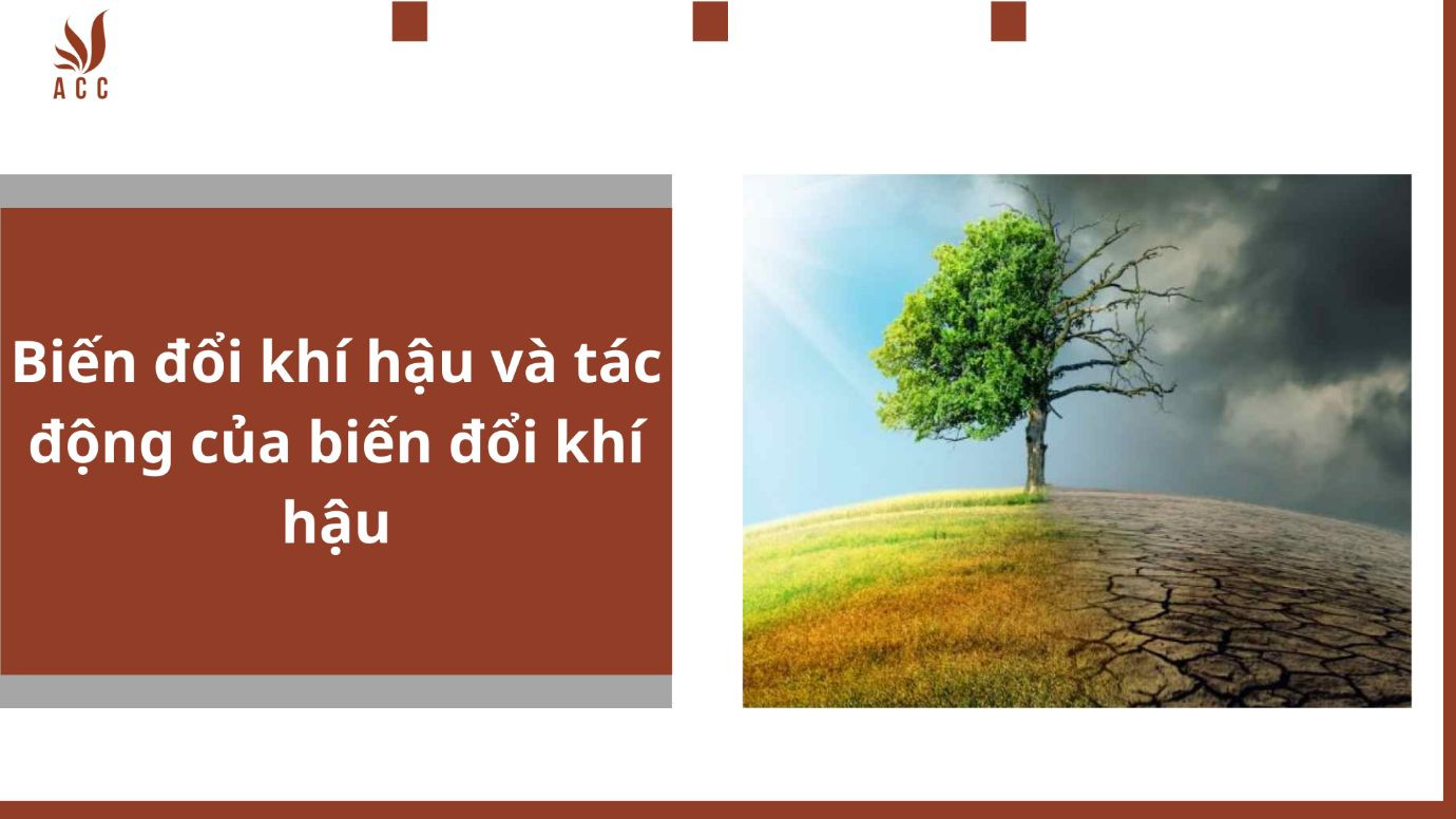 Biến đổi khí hậu và tác động của biến đổi khí hậu