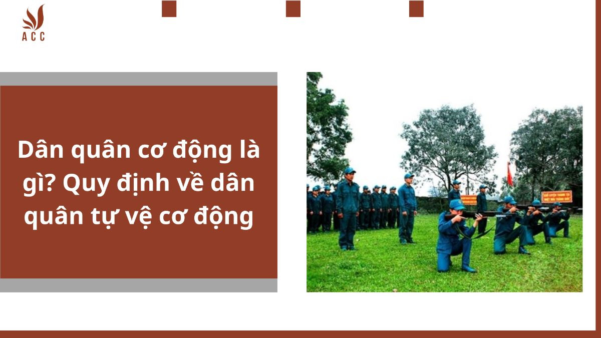 Dân quân cơ động là gì? Quy định về dân quân tự vệ cơ động