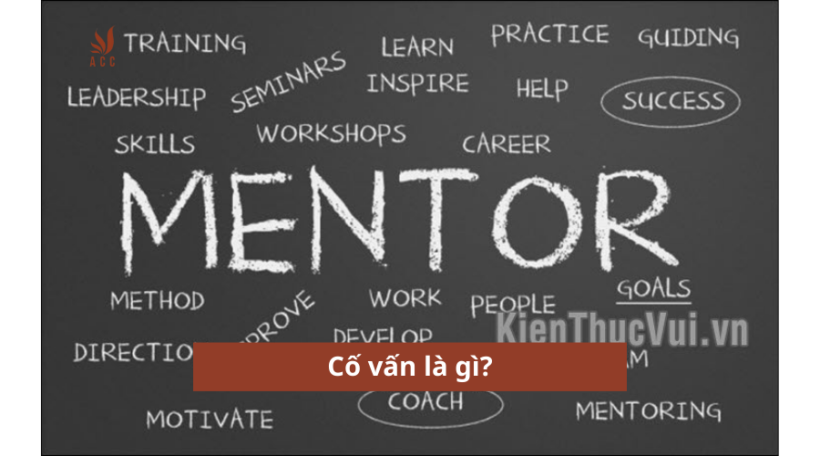cố vấn là gì