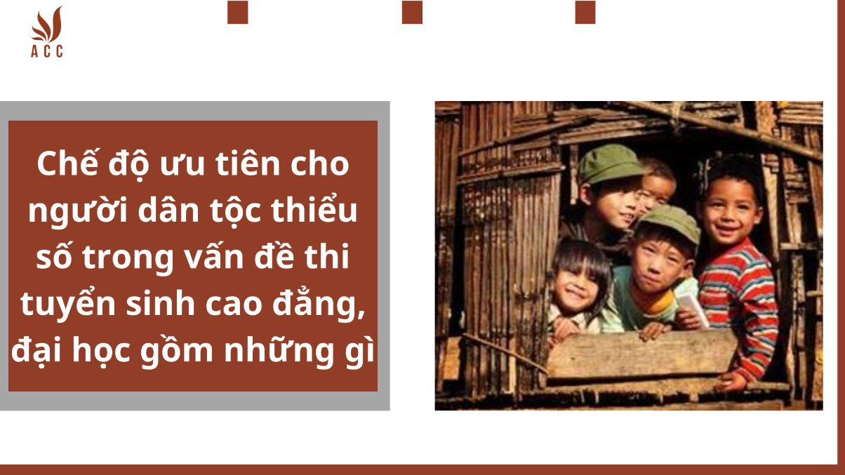 Chế độ ưu tiên cho người dân tộc thiểu số trong vấn đề thi tuyển sinh cao đẳng, đại học gồm những gì?