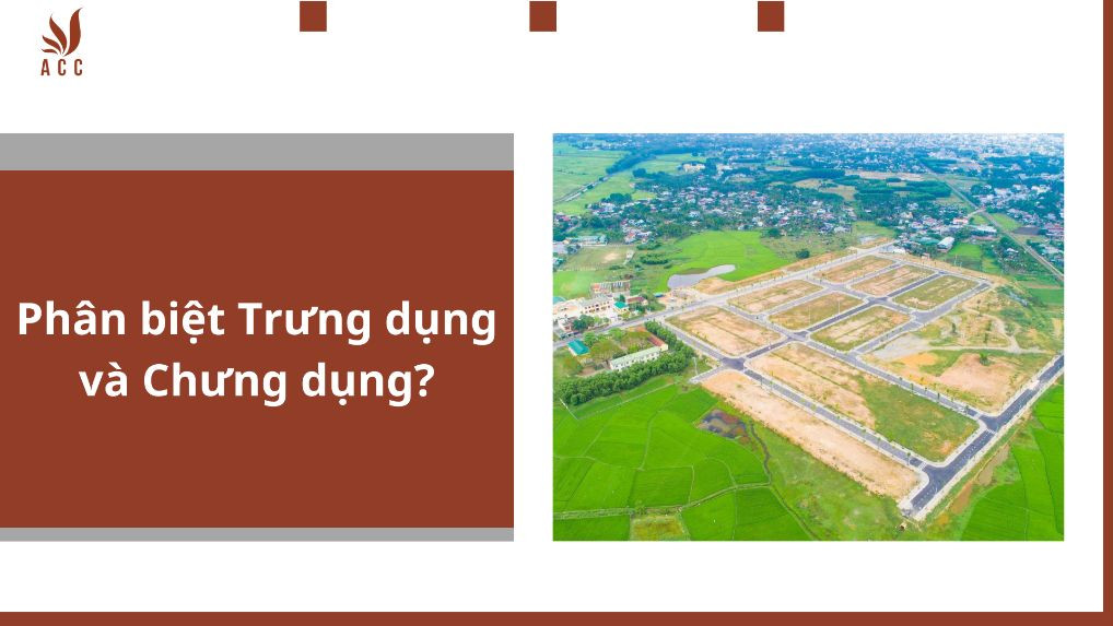 Phân biệt Trưng dụng và Chưng dụng?