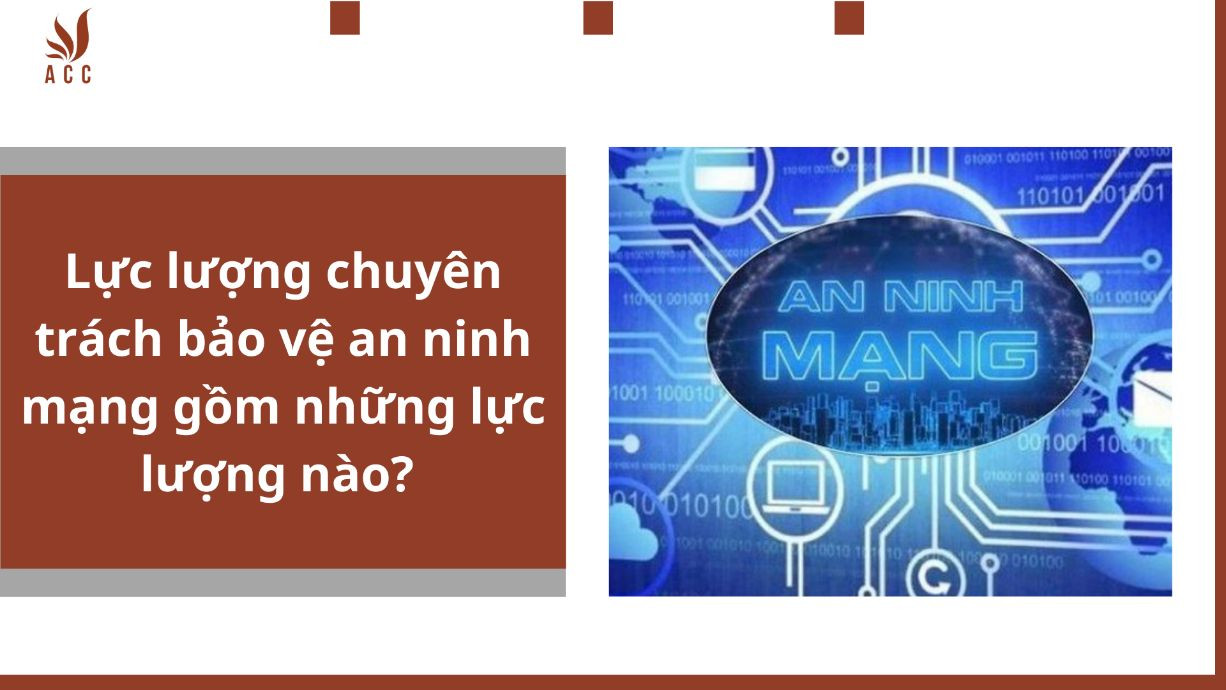 Lực lượng chuyên trách bảo vệ an ninh mạng gồm những lực lượng nào? Trình tự đánh giá điều kiện an ninh mạng thực hiện thế nào?