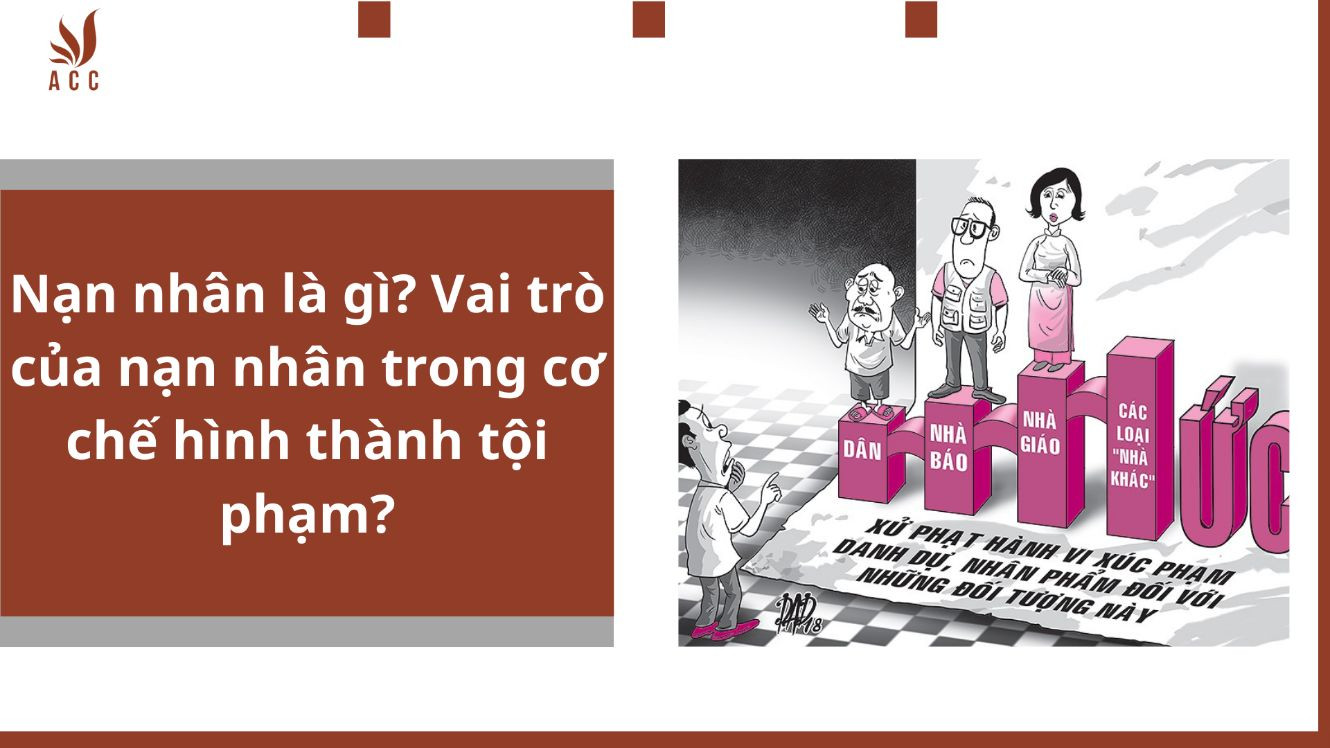 Nạn nhân là gì? Vai trò của nạn nhân trong cơ chế hình thành tội phạm?