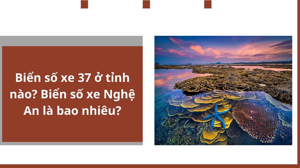 Biển số xe 37 ở tỉnh nào? Biển số xe Nghệ An là bao nhiêu?