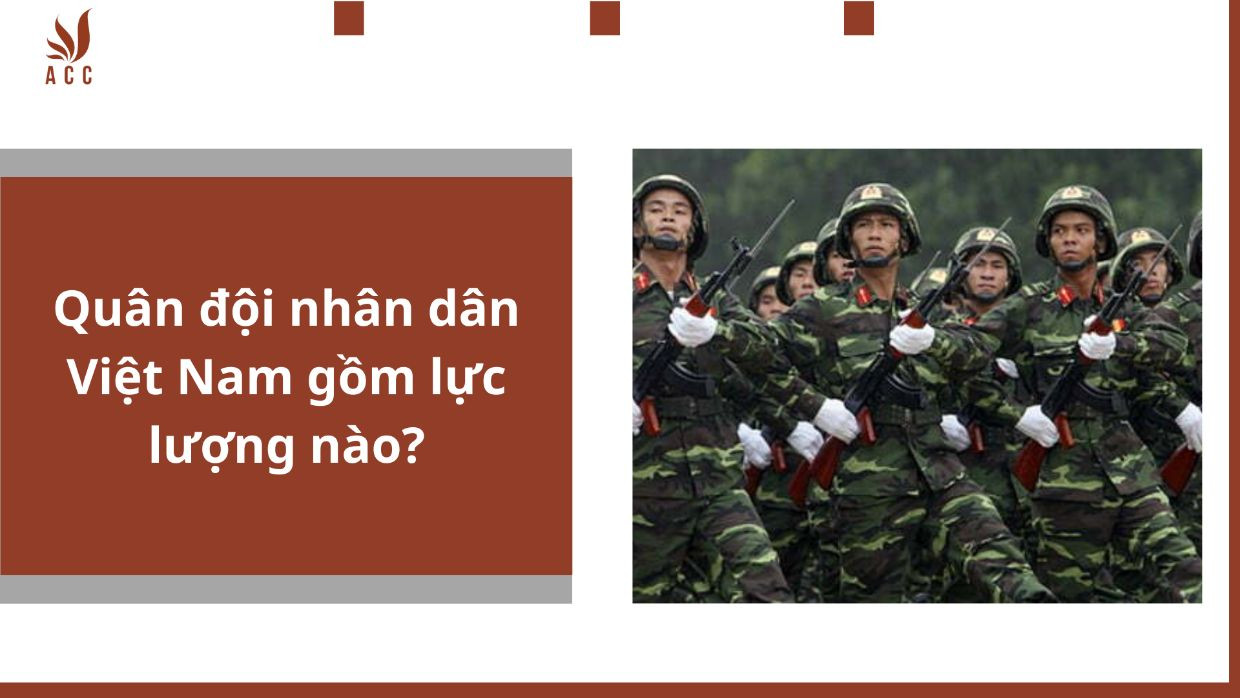 Quân đội nhân dân Việt Nam gồm lực lượng nào?