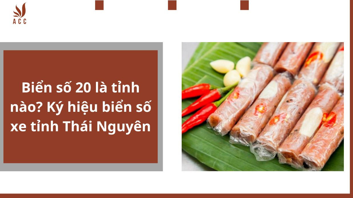 Biển số 20 là tỉnh nào? Ký hiệu biển số xe tỉnh Thái Nguyên
