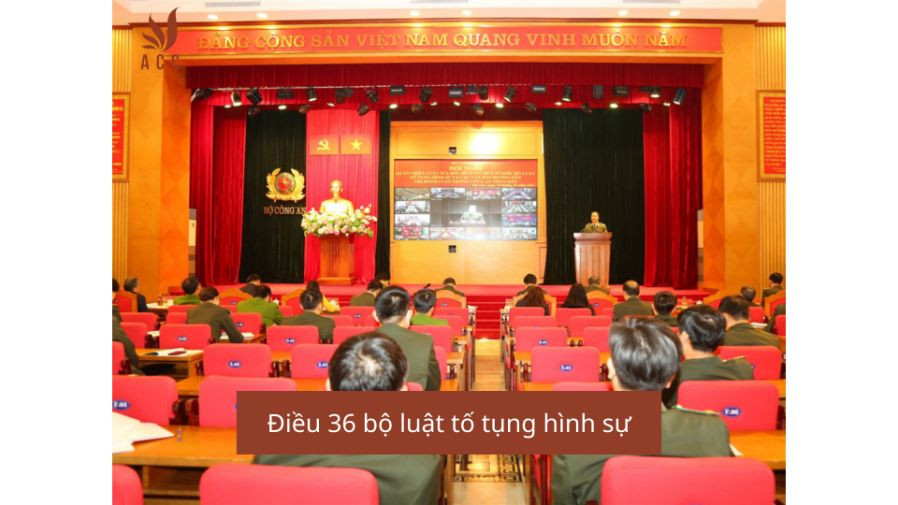 Điều 36 bộ luật tố tụng hình sự