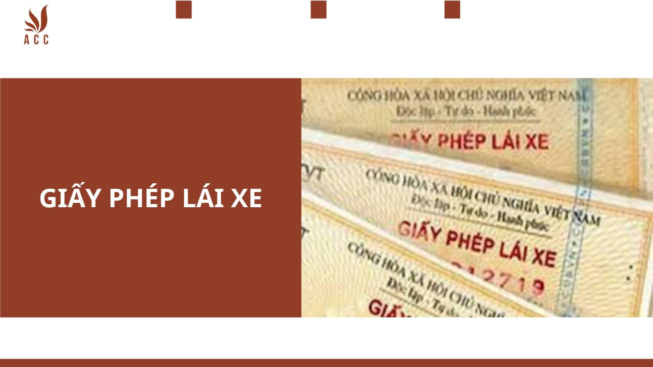 giayphep-2