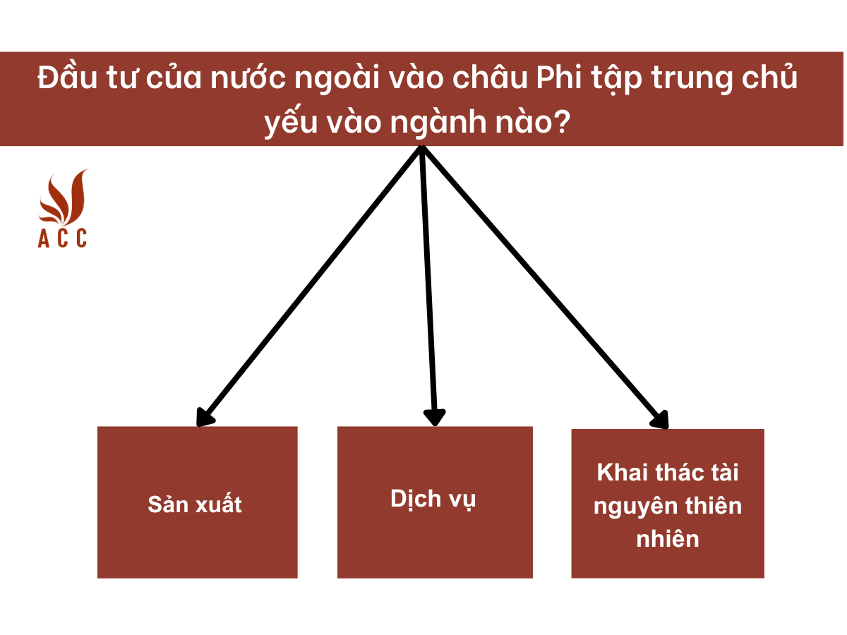 images-content-phap-ly-6-1