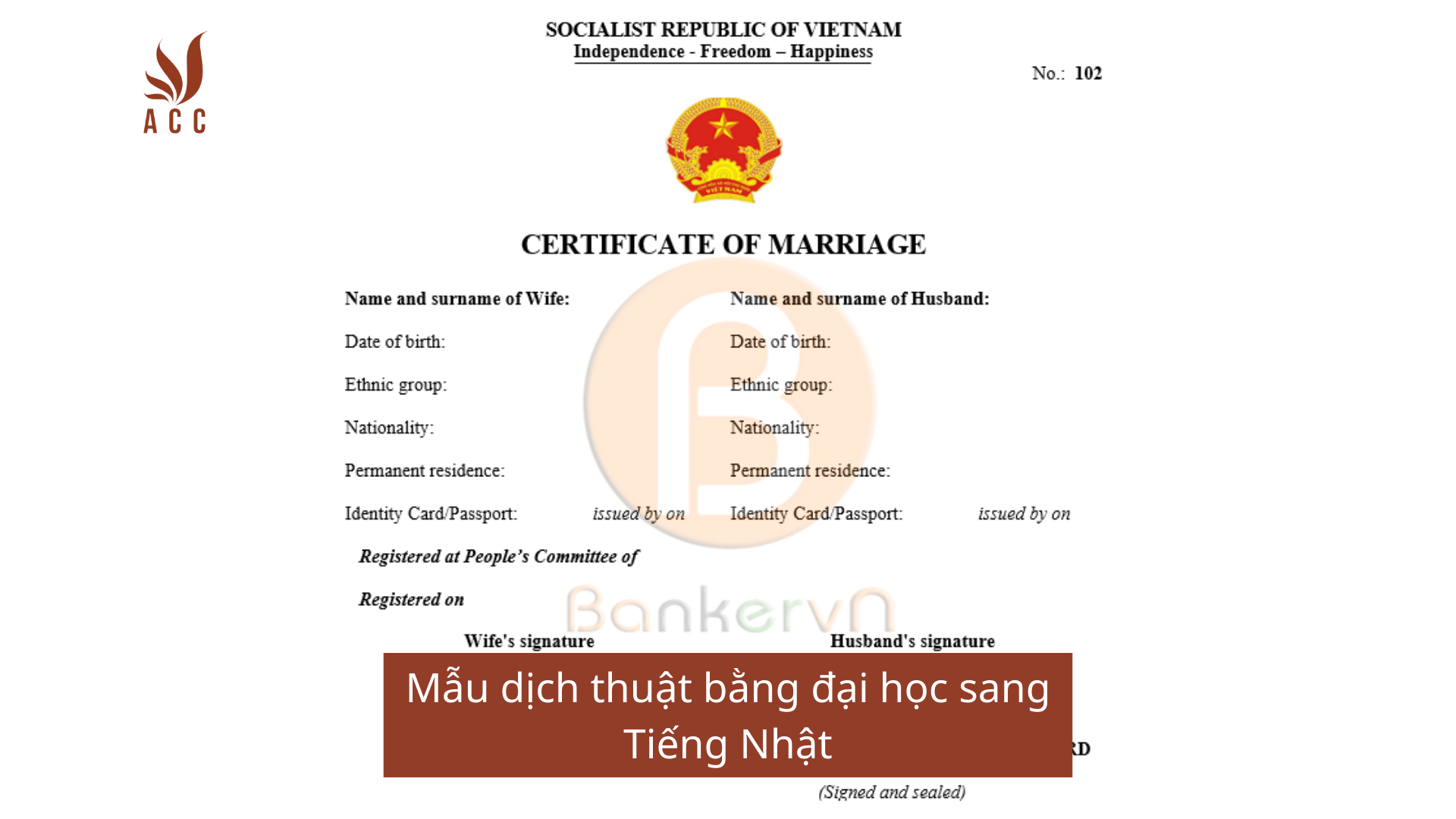 Mẫu dịch thuật bằng đại học sang Tiếng Nhật