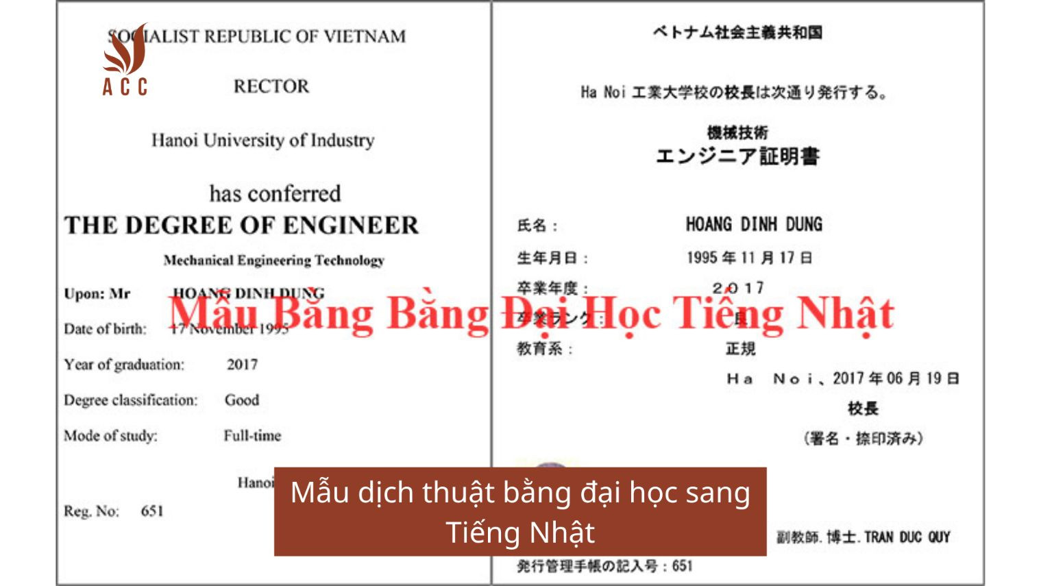 Mẫu dịch thuật bằng đại học sang Tiếng Nhật