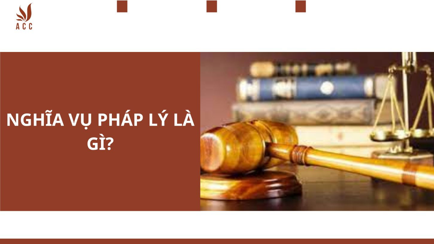 phap-ly-1