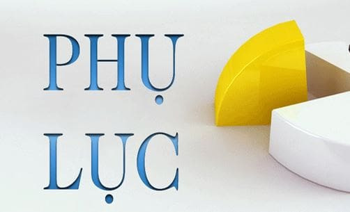 phu-luc-hop-dong