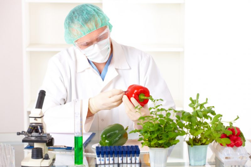 Ngành Đảm bảo chất lượng và An toàn thực phẩm là gì?