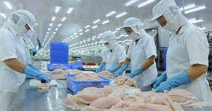 Kiểm tra an toàn thực phẩm hàng nhập giao về cho hải quan quản lý