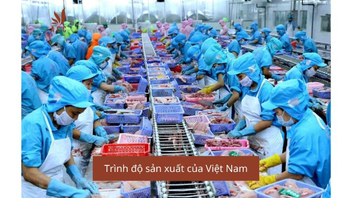 Trình độ sản xuất của Việt Nam