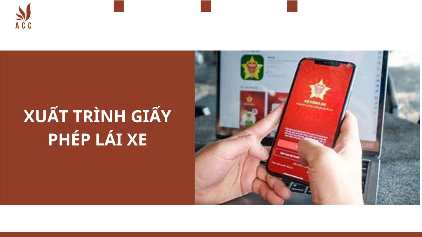 xuat-trinh