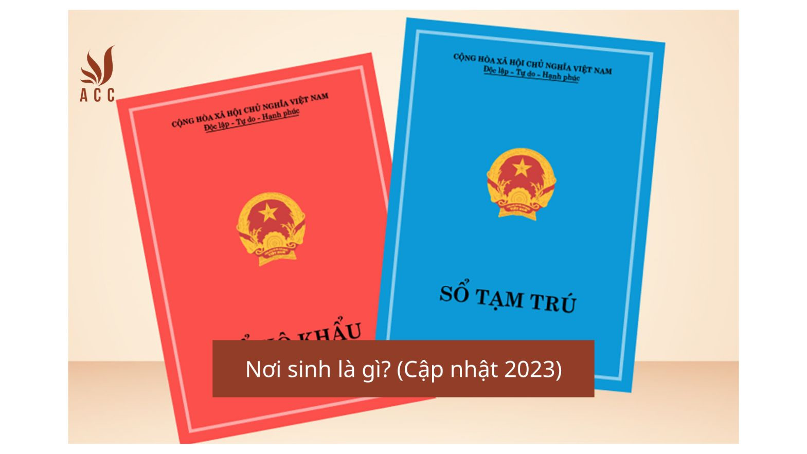 Nơi sinh là gì? (Cập nhật 2023)