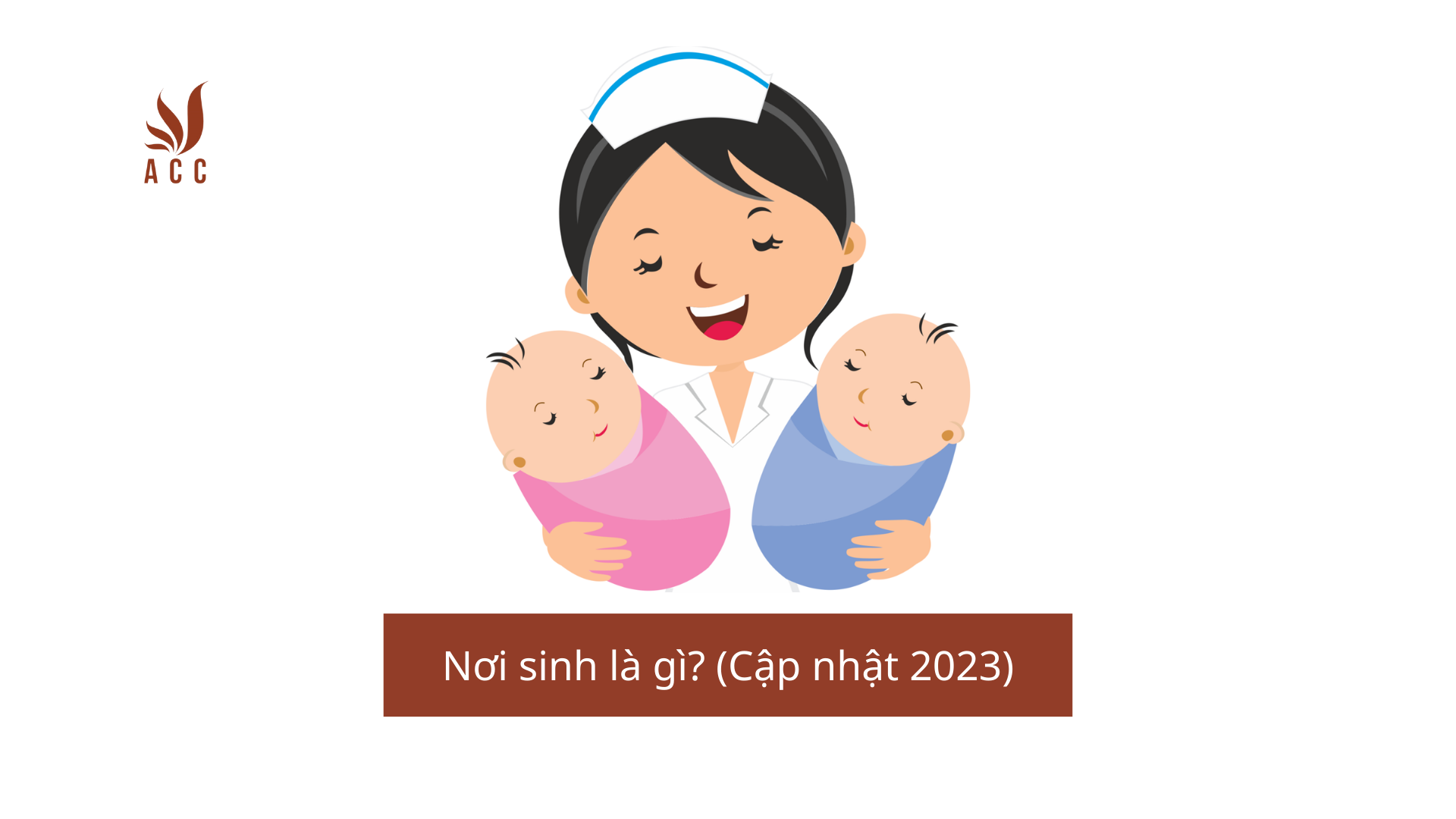 Nơi sinh là gì? (Cập nhật 2023)