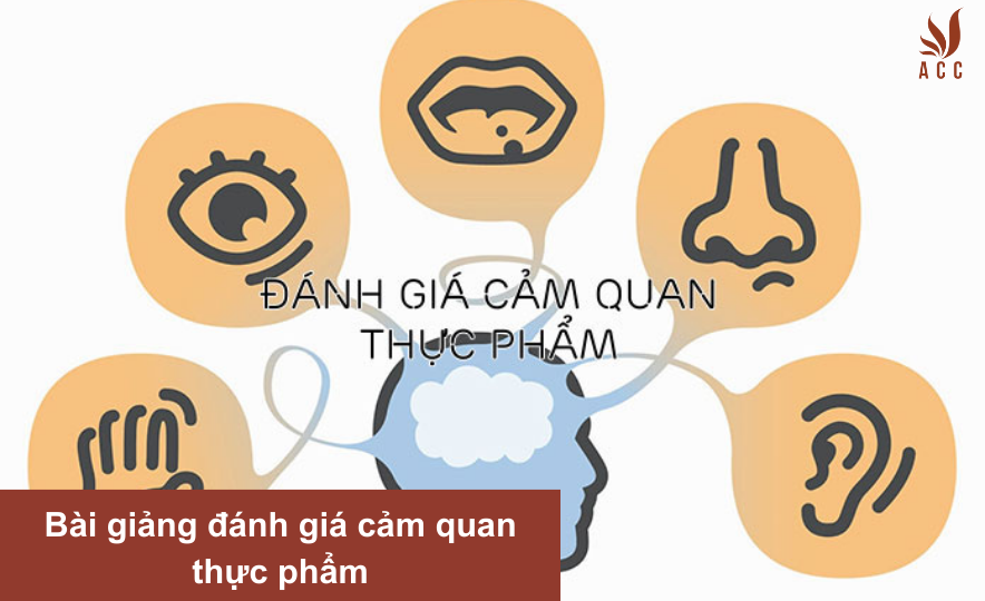 Bài giảng đánh giá cảm quan thực phẩm