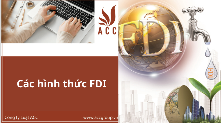 cac-hinh-thuc-fdi