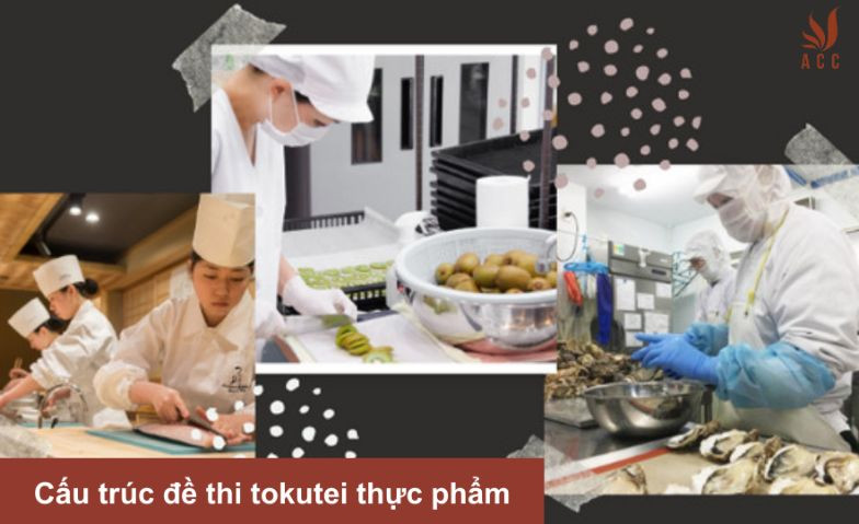 Cấu trúc đề thi tokutei thực phẩm